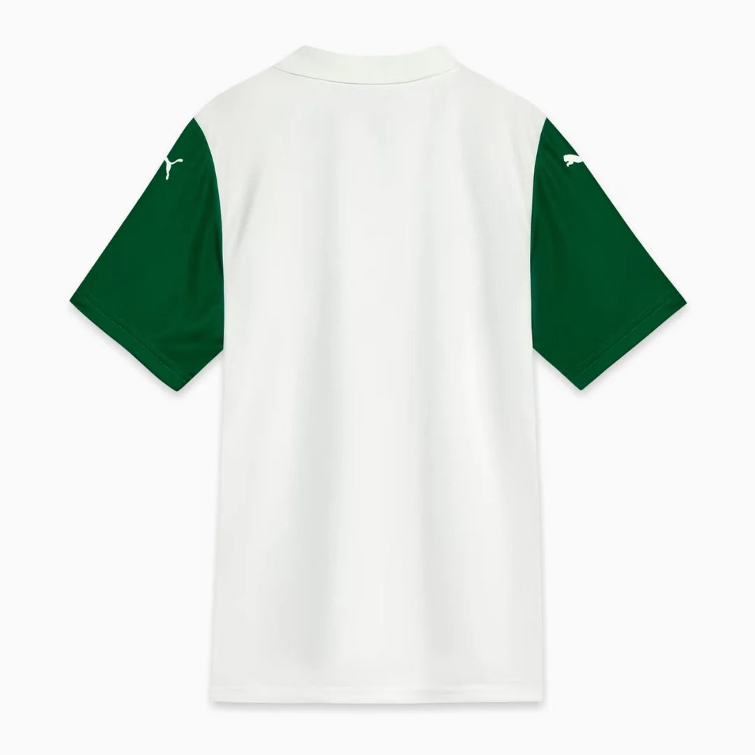 SE Palmeiras Borte Herrer Fan-drakt 2025/26